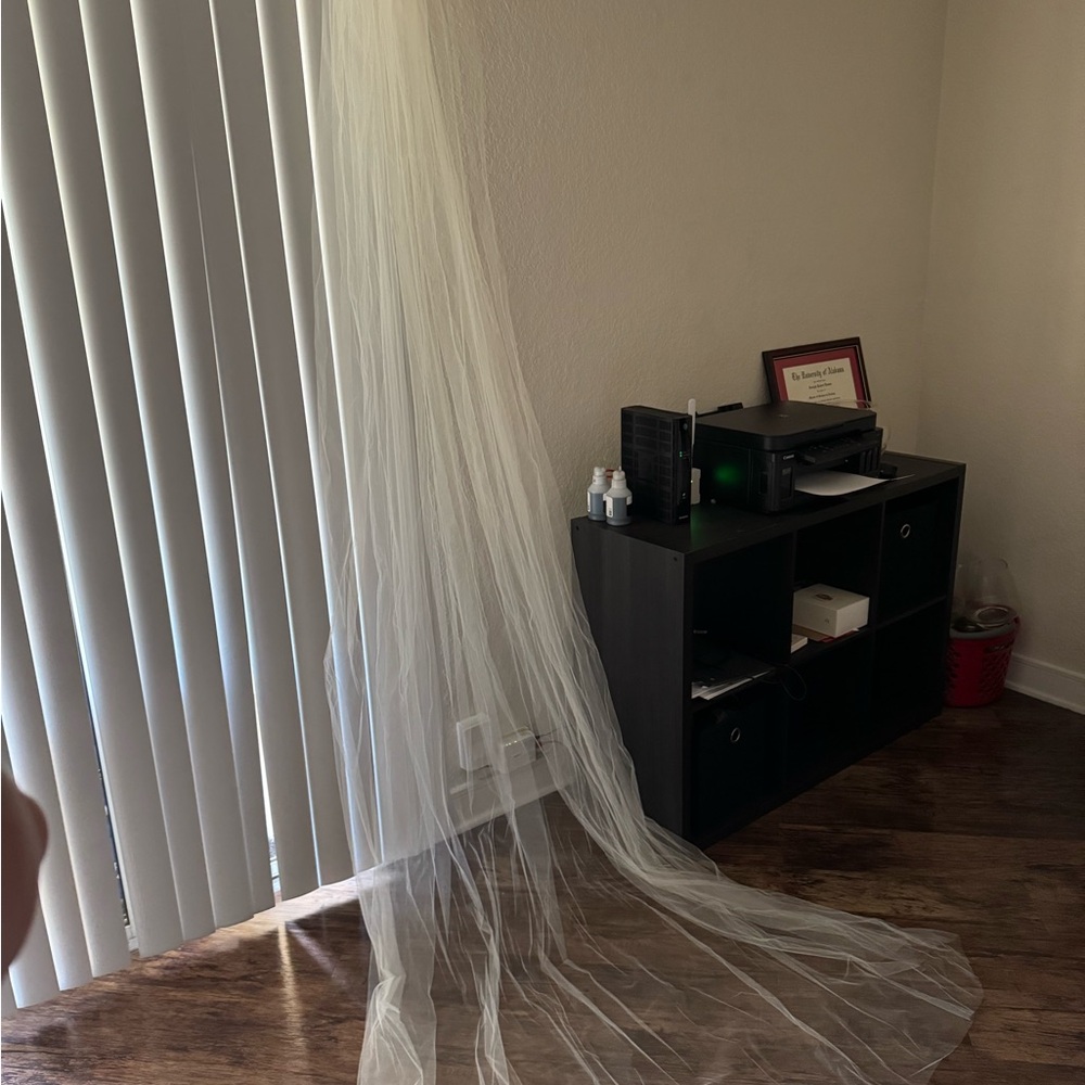 Ivory Cathedral Length Veil